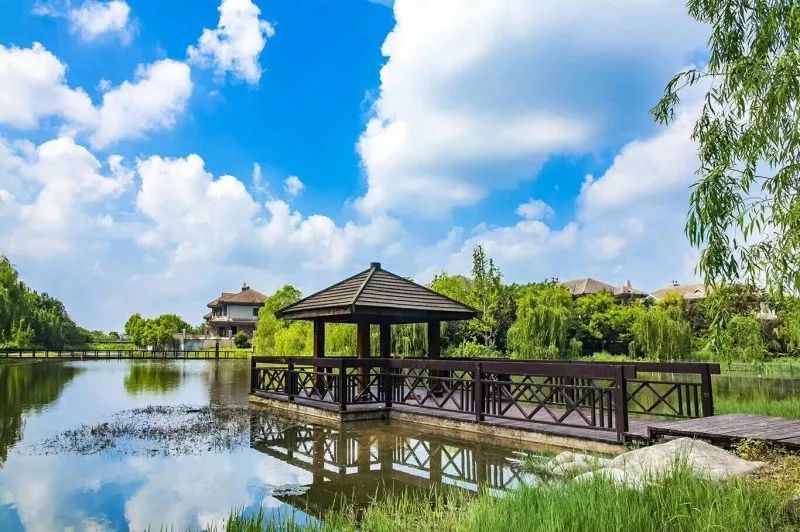 終于瞞不住!臺風過境,一波湖州美景被發(fā)現(xiàn)…