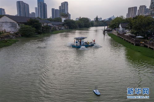 浙江湖州 智能化平臺助力城市河道精準治理